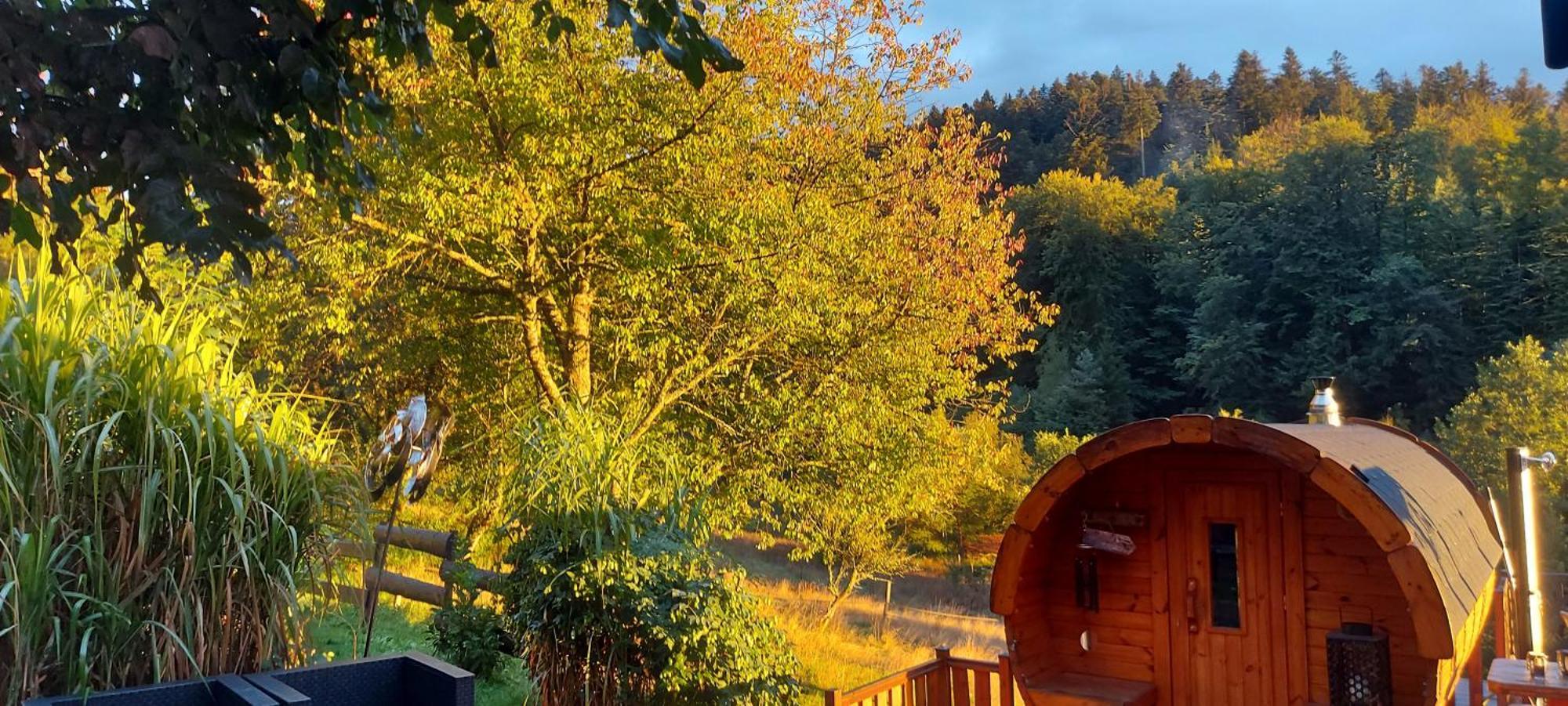Auberge Du Ruxelier J&D Cheniménil Buitenkant foto